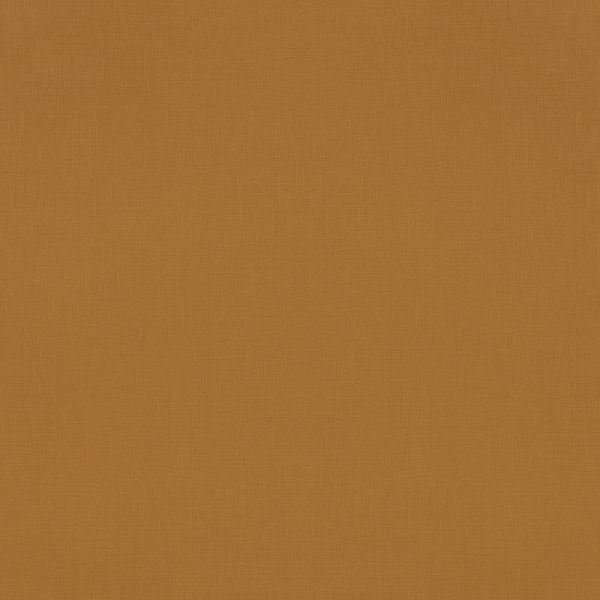Salsa 531466