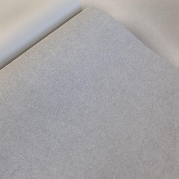 Andrea Rossi Cavolli 54422-6