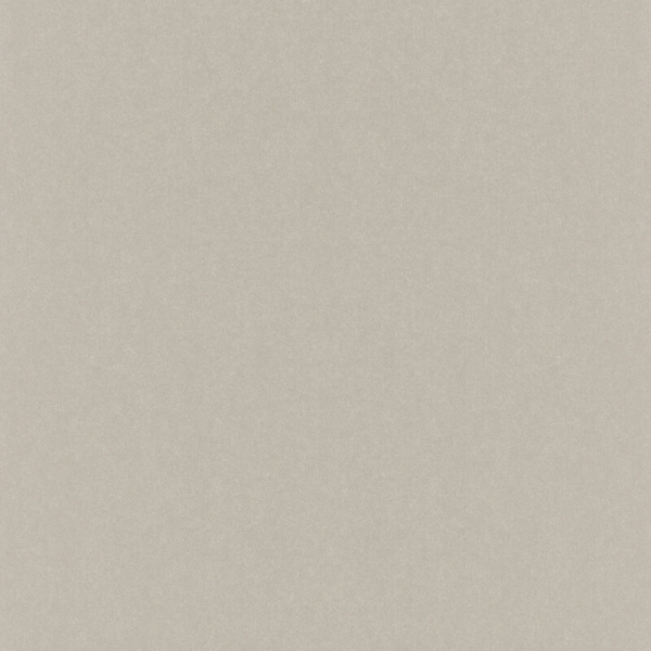 Rasch Kerala 501179
