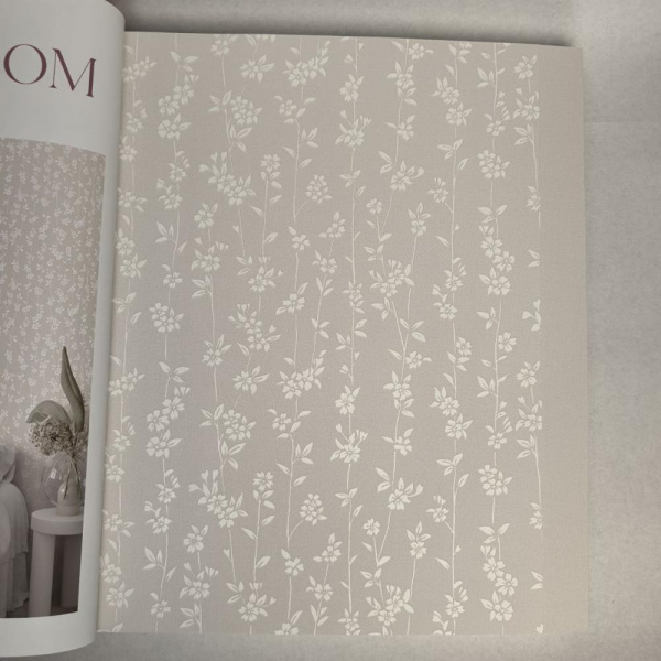 Andrea Rossi Berggi 54451-3