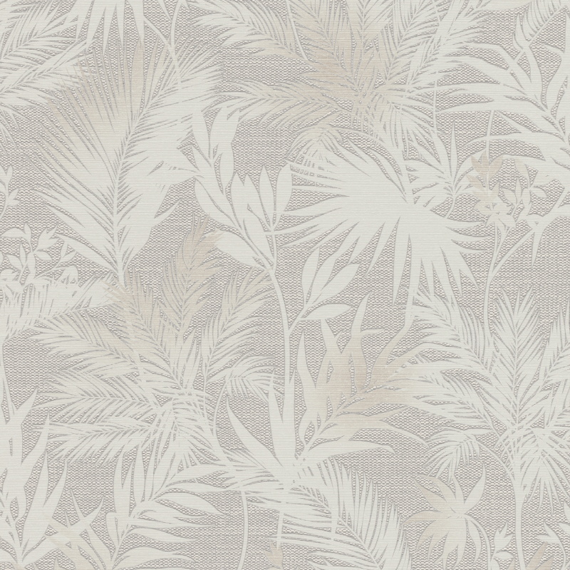 Rasch Kalahari 704129