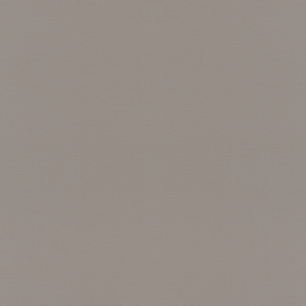 Rasch Natural Colors 687545