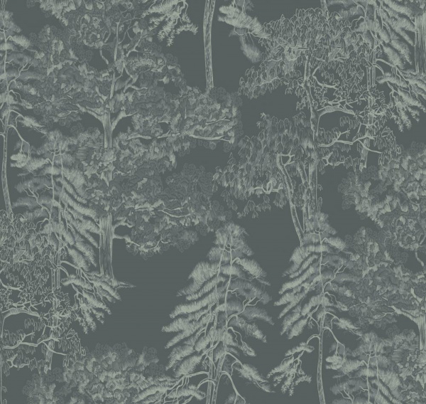 Milassa Ambient AM5 008