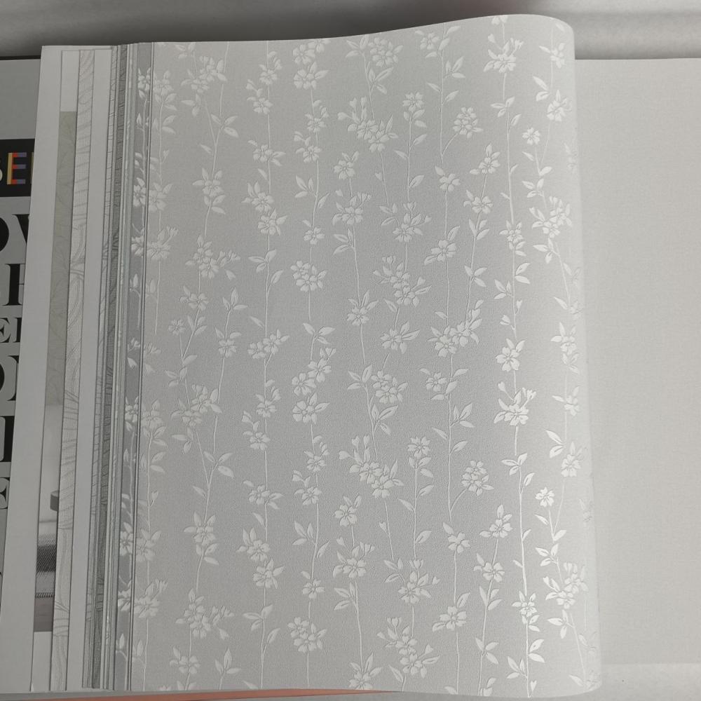 Andrea Rossi Berggi 54451-4