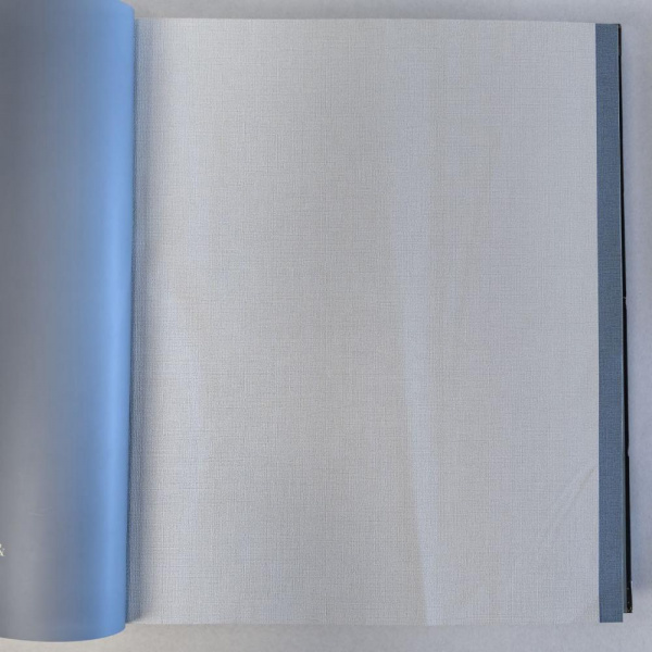 Andrea Rossi Spectrum Box 54459-5