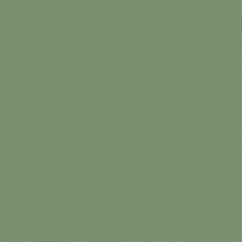 Erismann Casual Chic  ER 12143-07
