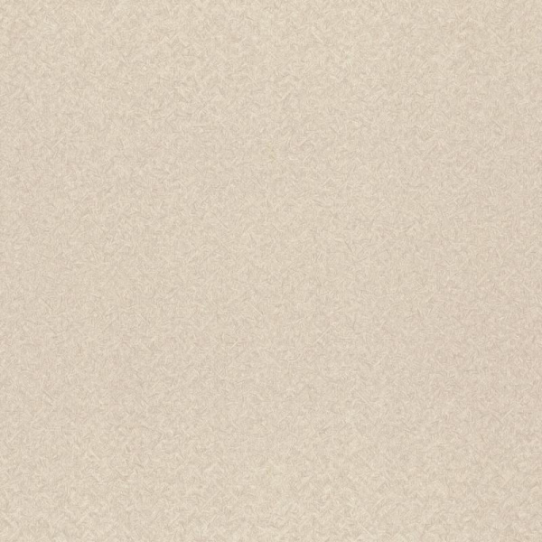 Rasch Trend 975314