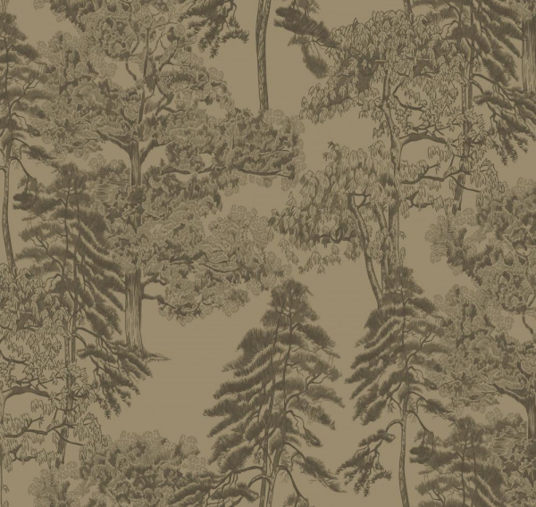 Milassa Ambient AM5 005/1