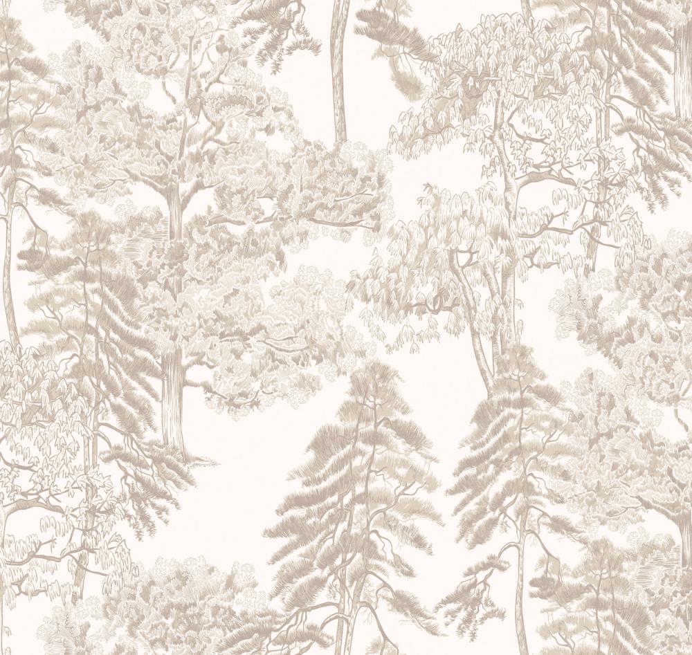 Milassa Ambient AM5 002/2